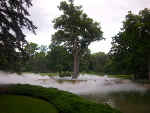 Fog in Large Ponds