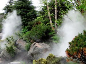 misting systems effects