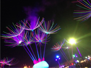 Spin Cycle's Dandelion Forest