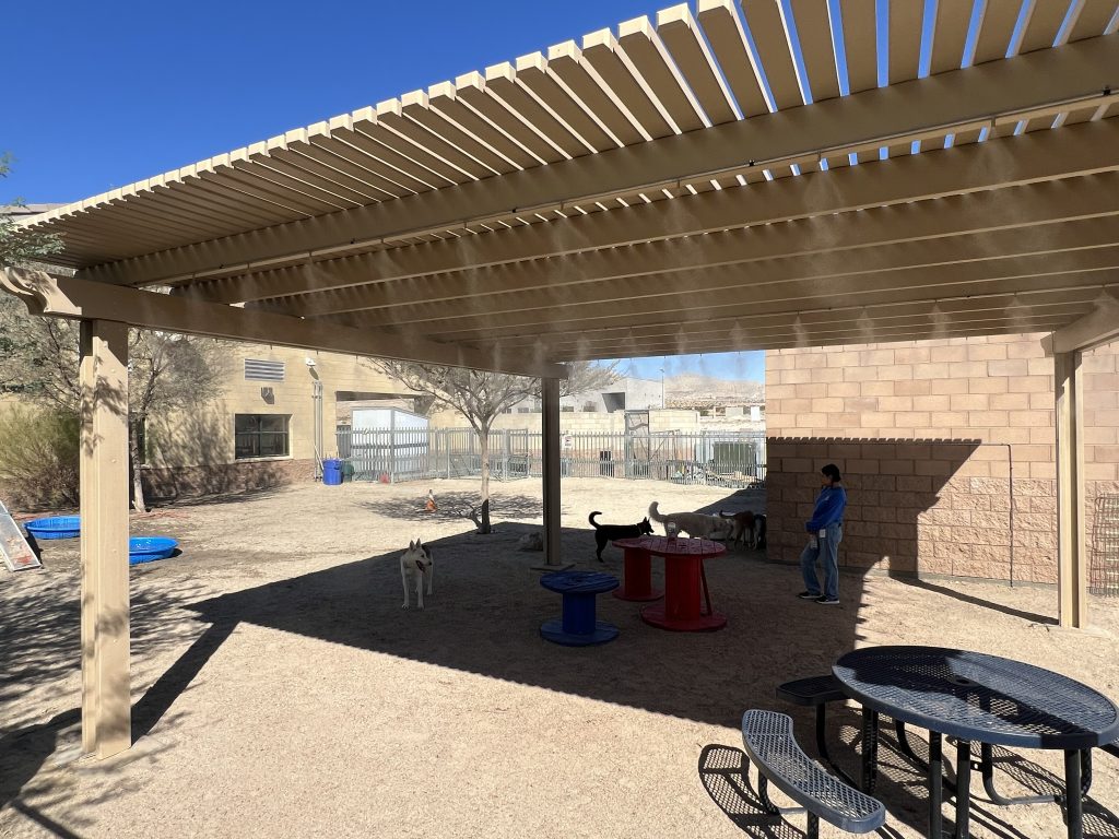 outdoor misters cool dogs at shelter